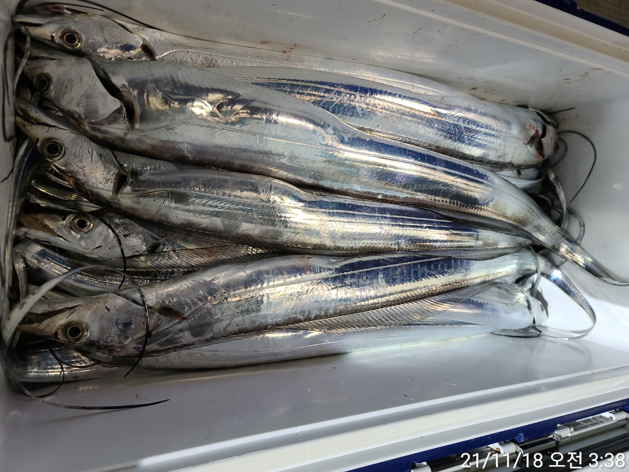 media&amp;token=b9fd2df2-7637-4f96-95d3-c46ab27c5c53