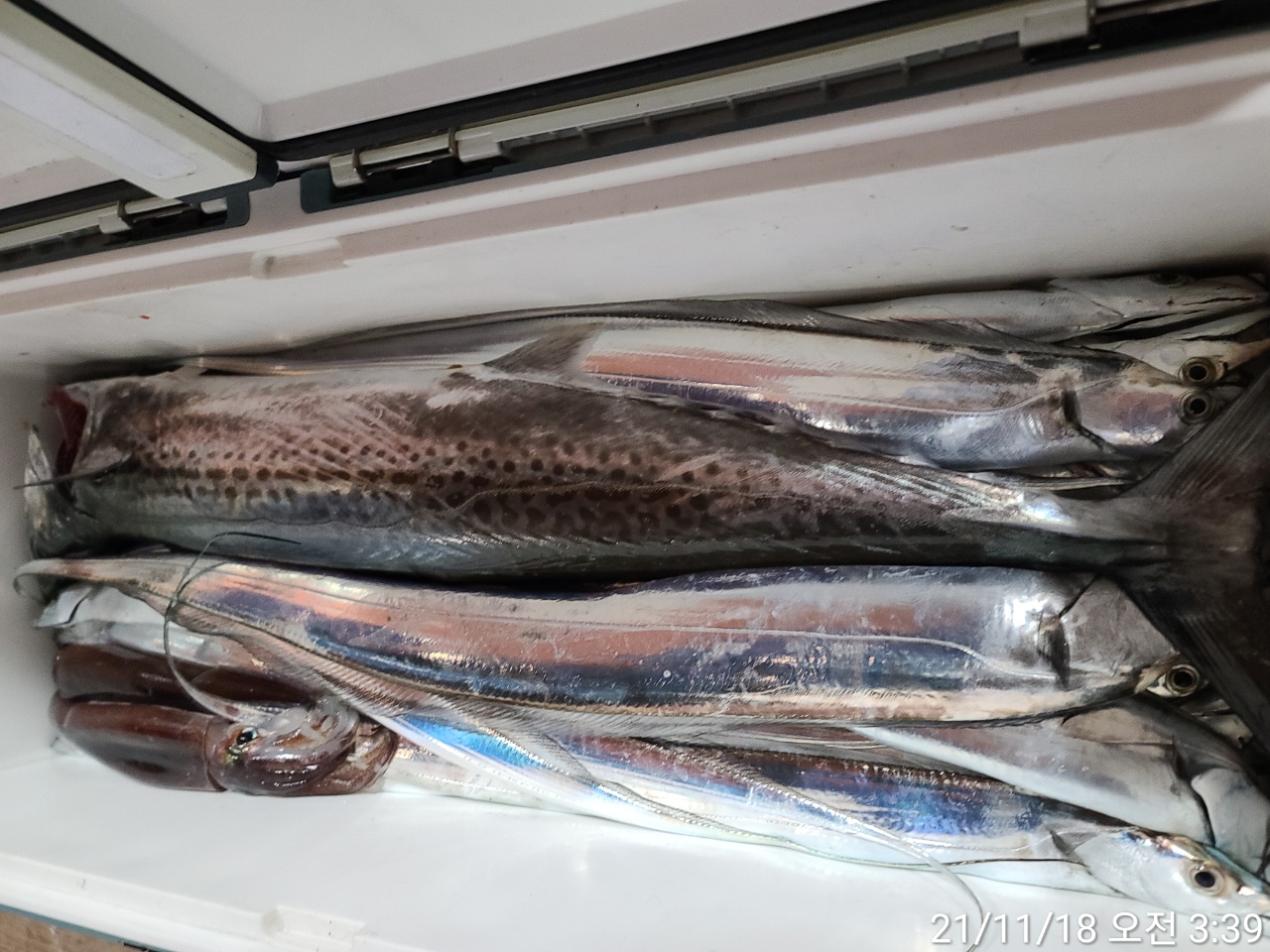 media&amp;token=a9b4932e-47d9-4107-9380-dab476eae650