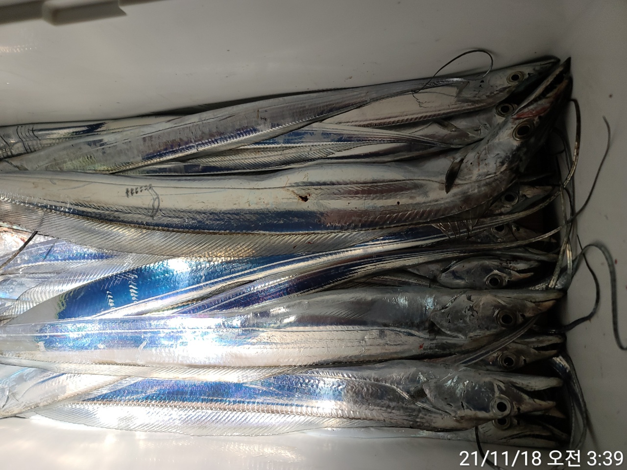 media&amp;token=686caba5-41dd-4c03-aca0-9ca369c6f7c5