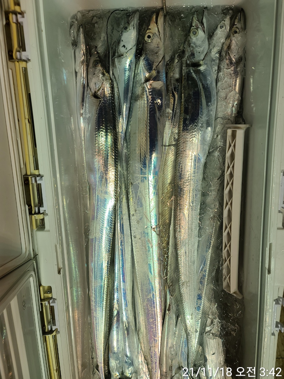 media&amp;token=9ae128ae-36d2-4922-833e-c61b59580401