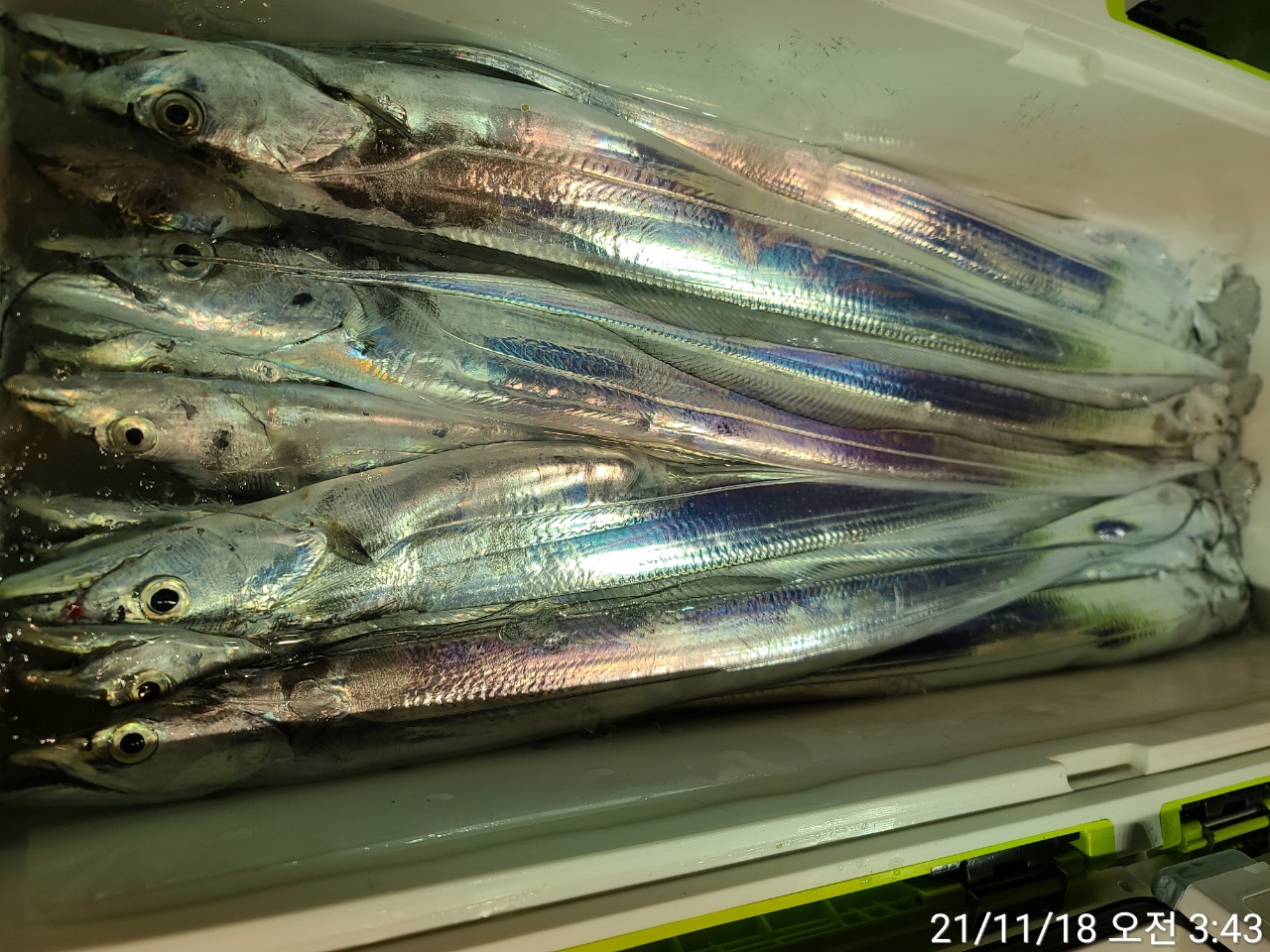 media&amp;token=db4962eb-273c-49d8-bfc4-e8f4e84ffefd