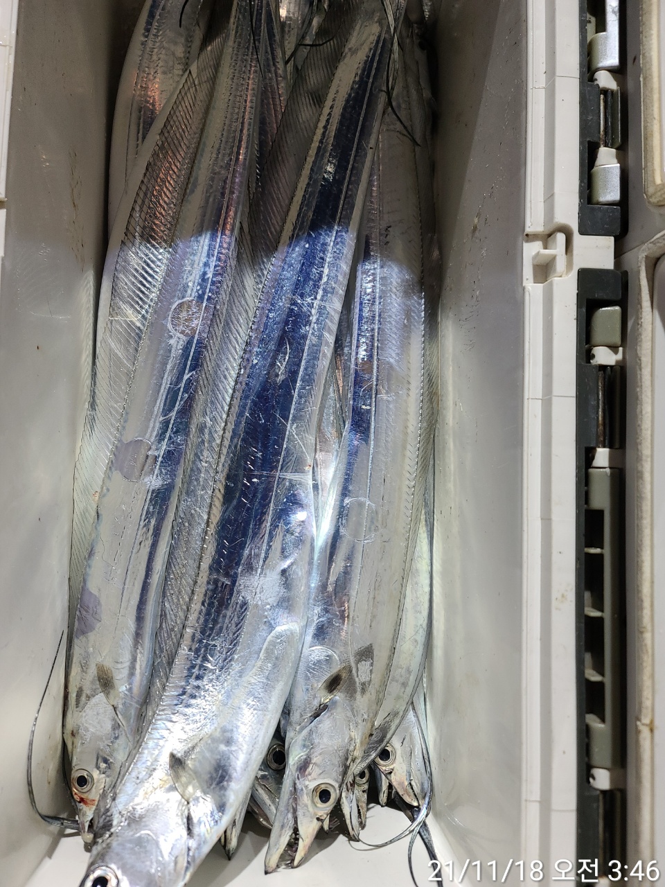 media&amp;token=32d9d776-819b-41f2-8f76-26eff7efdbf5