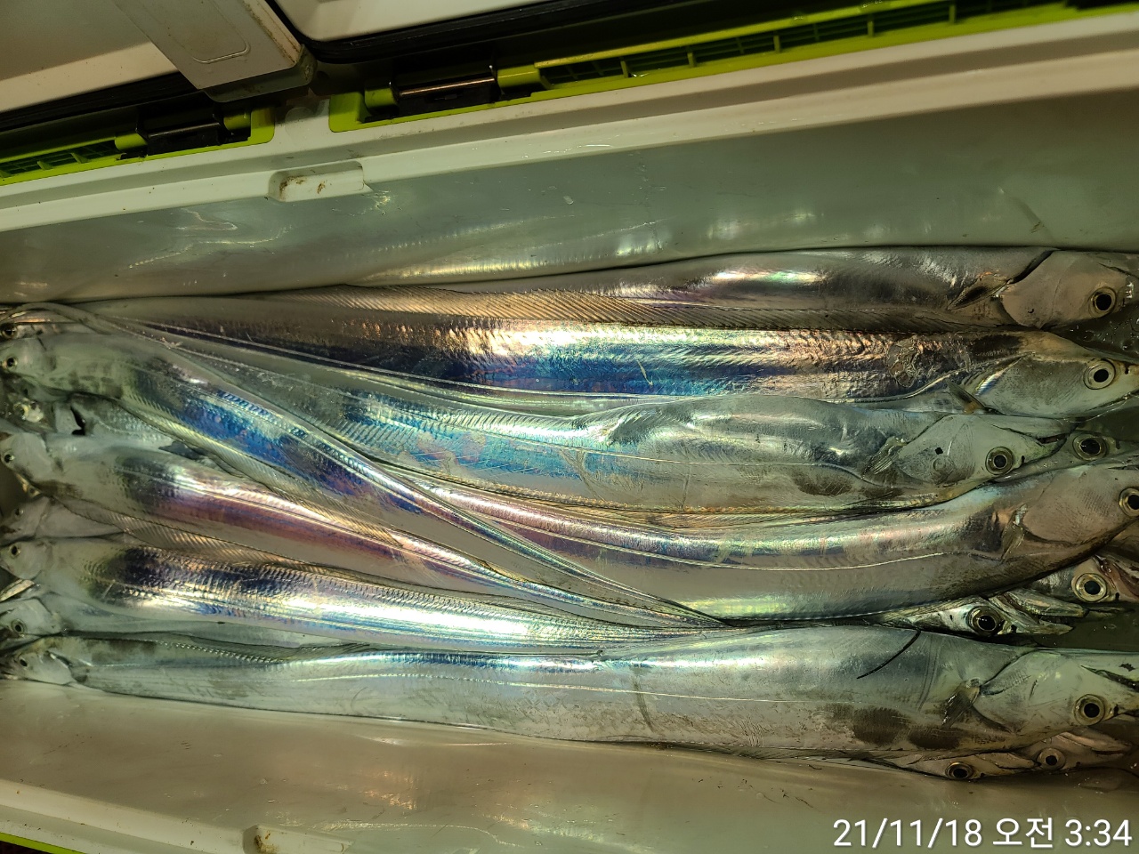 media&amp;token=353c6aed-348e-4f2d-a7f8-4b2c0a6000f1