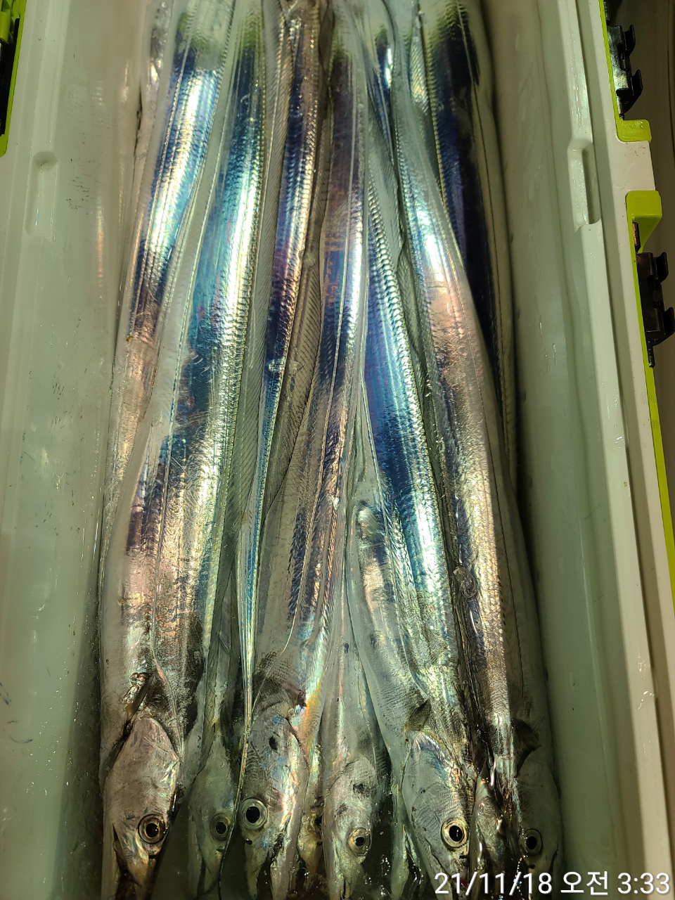 media&amp;token=efd82468-f353-4885-9ae2-bd21da24027c