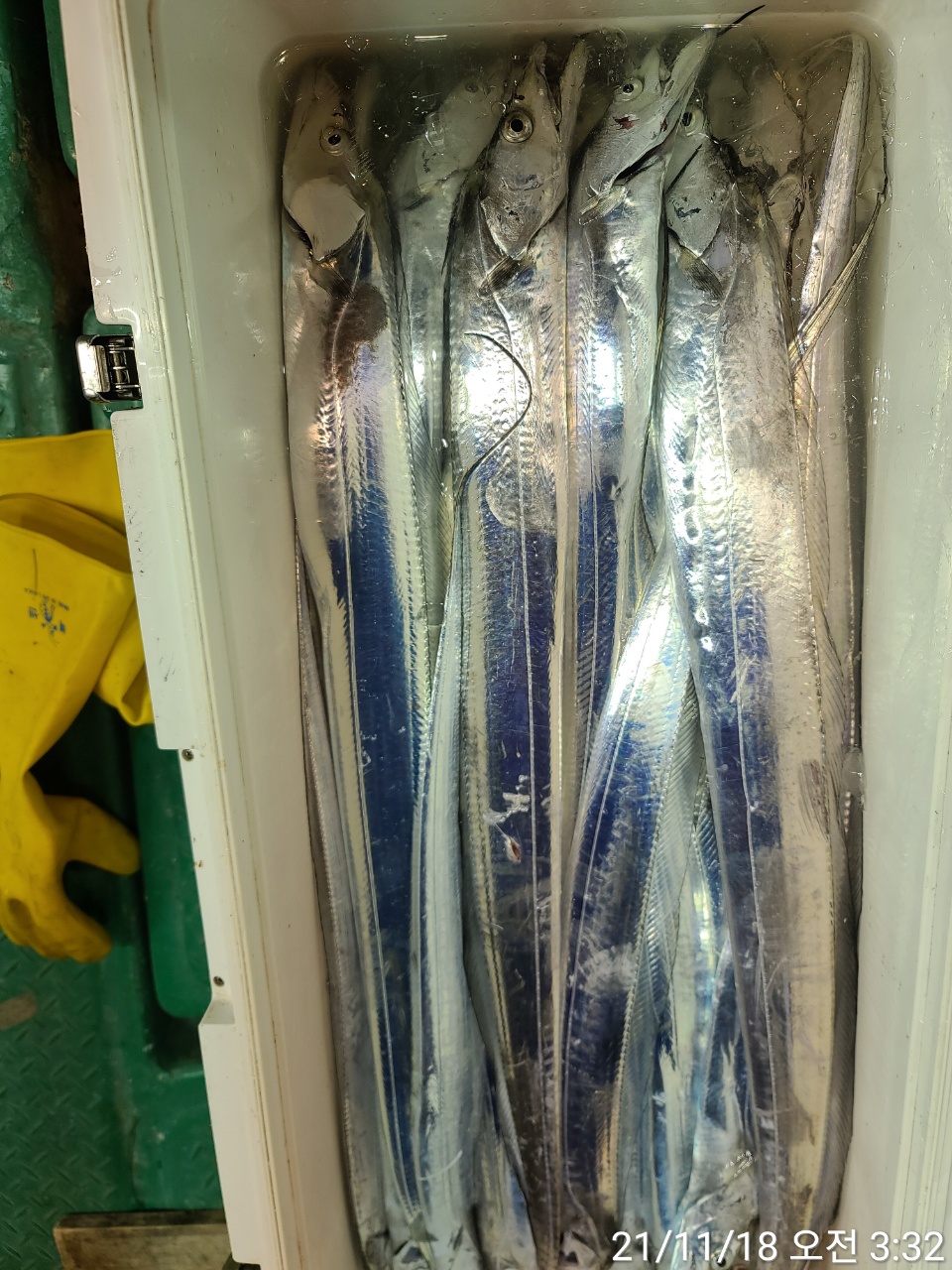 media&amp;token=847c94d9-ce68-49a3-98c9-1070cfbdd599