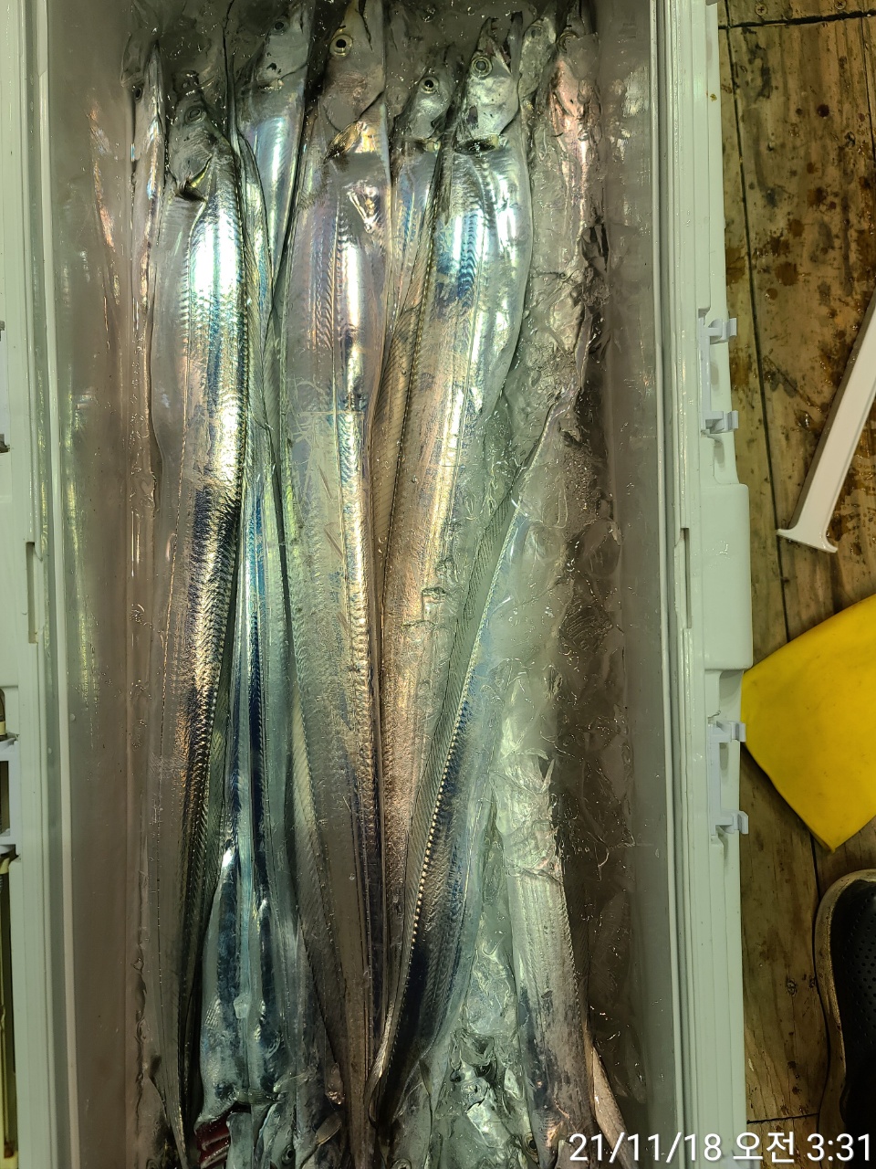 media&amp;token=cdc0d19e-ec78-4e9e-9988-a31bfd24c2d3