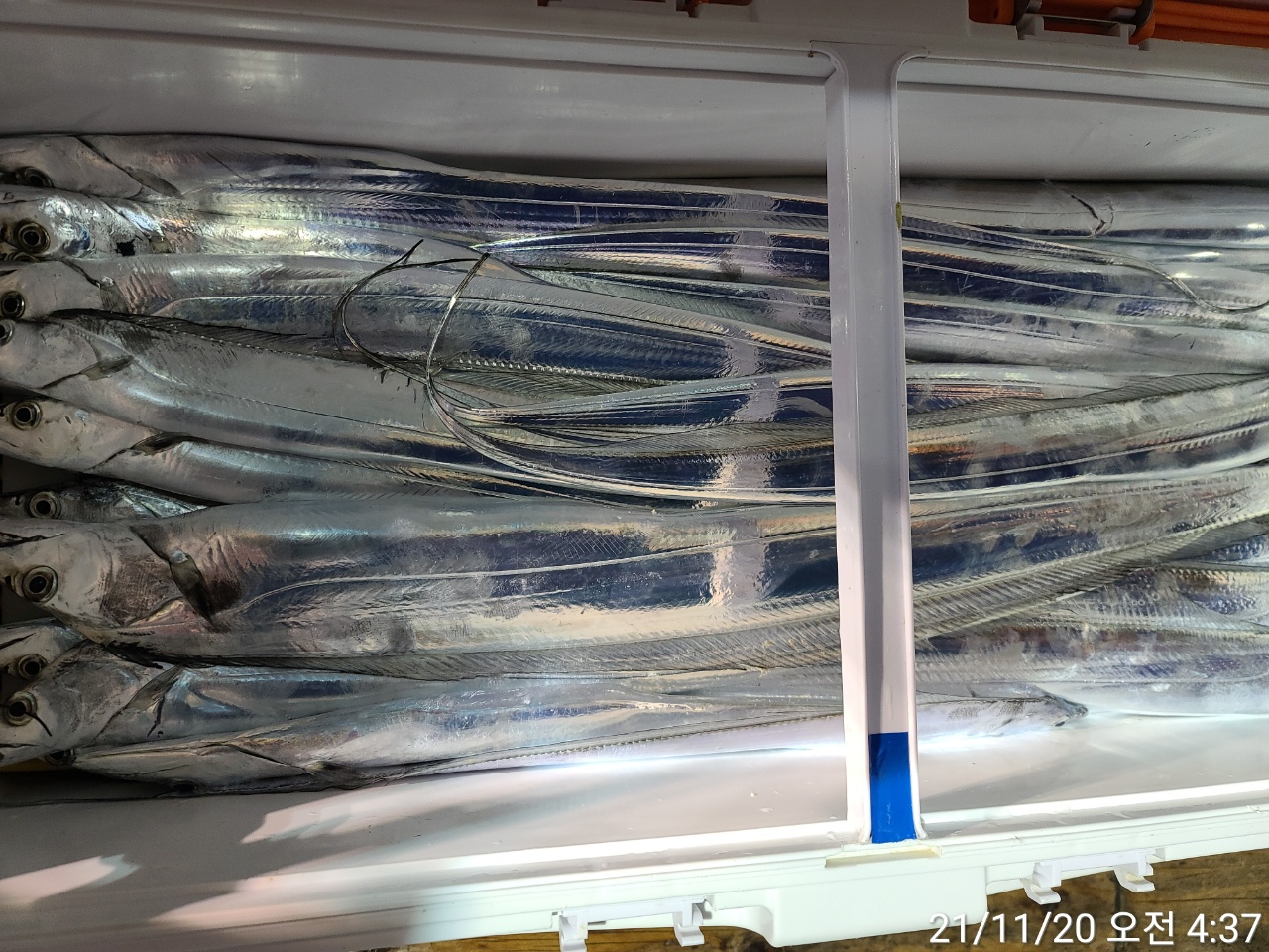 media&amp;token=021472a9-c77f-4d1a-88af-476c0697cae5