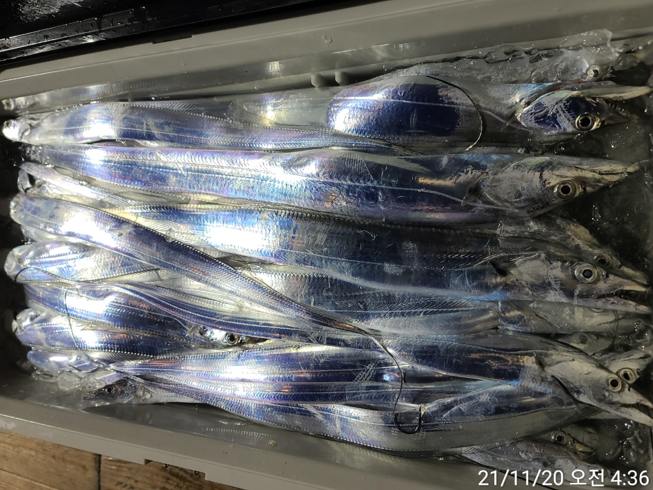 media&amp;token=ee62eb48-96d0-4682-bcda-9eb05542f994