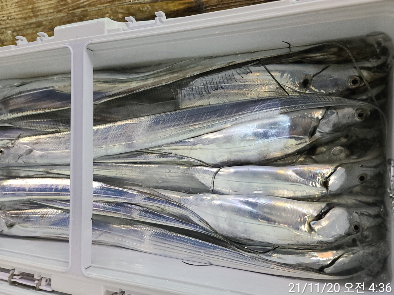 media&amp;token=37443df7-4e65-4420-b268-5f95fa630560