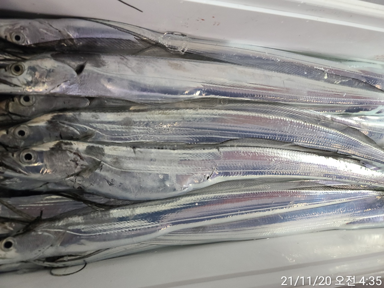 media&amp;token=a4642e89-244f-425c-bd5e-9bd6dc601816