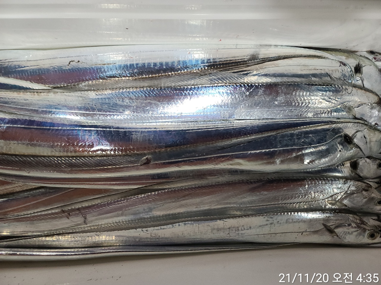 media&amp;token=9bd8964e-2a2f-46f1-ae21-1cea61dc0507