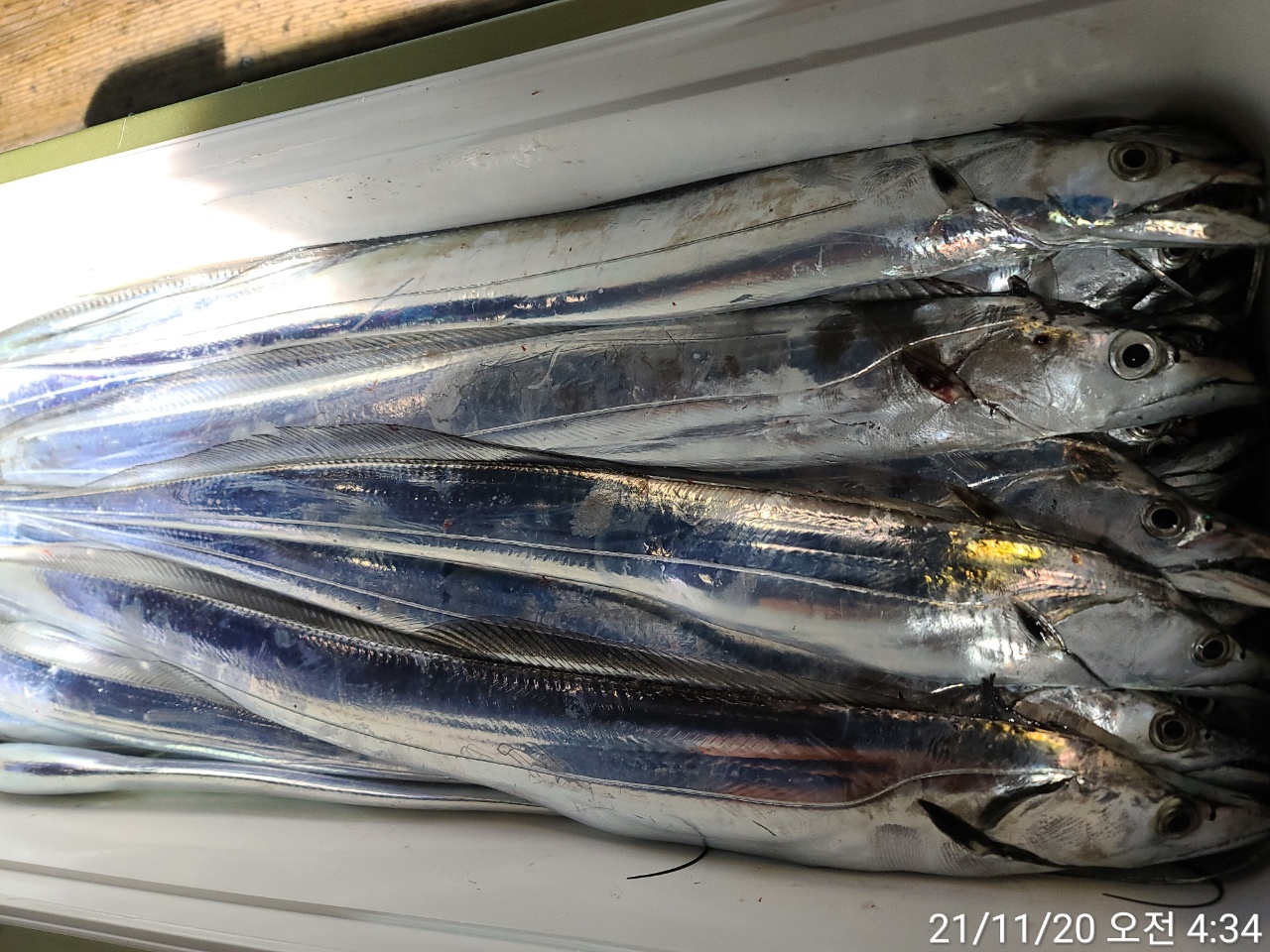 media&amp;token=193d20b6-3232-4e76-b115-a97b24228998