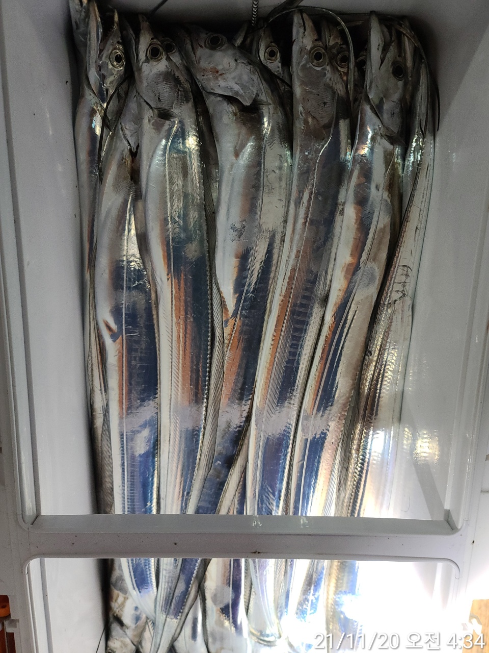 media&amp;token=453fed99-e298-4319-9fc7-3f8d04805cc2