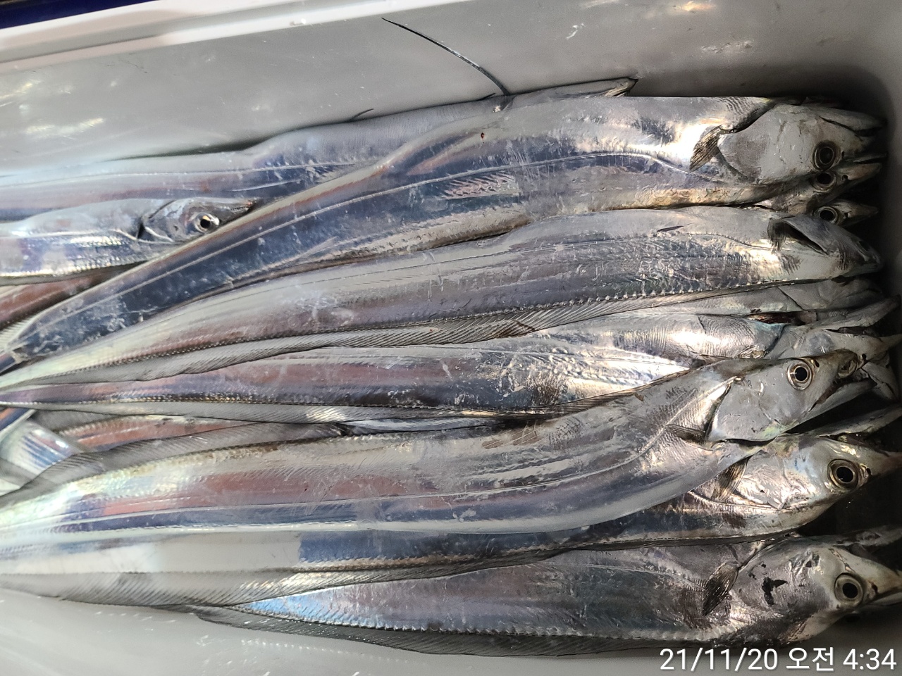 media&amp;token=89330a00-fb08-4194-95ca-d6c6ee0247bc