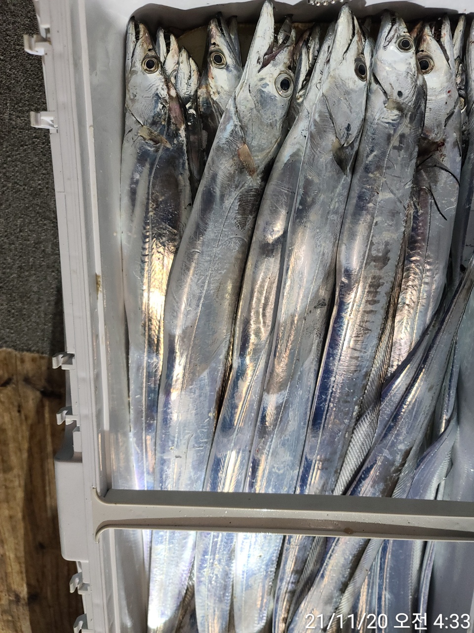 media&amp;token=f0cd62b0-e610-4b29-9dd2-2e27df432c59