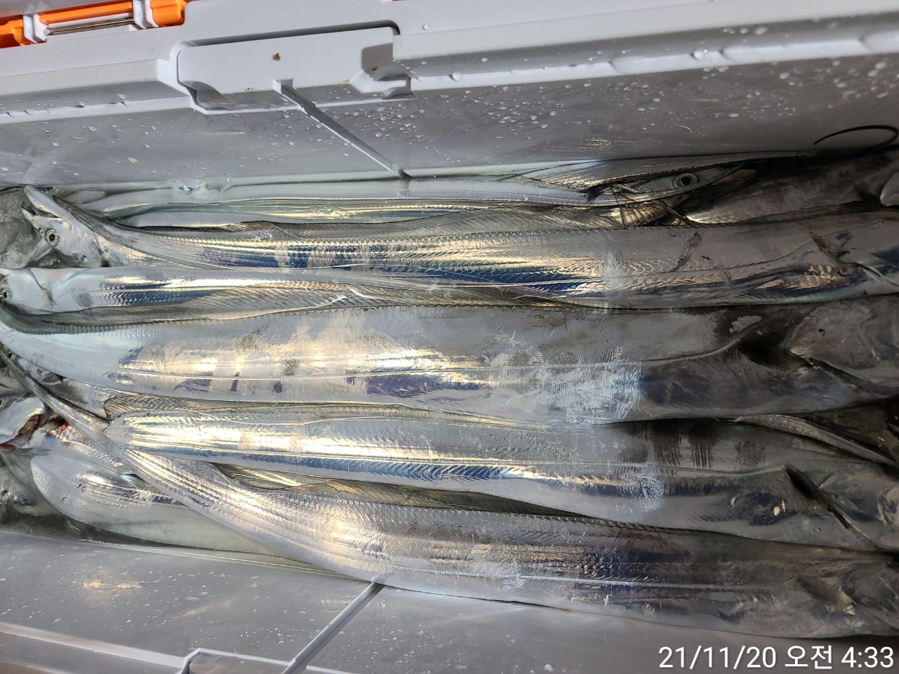 media&amp;token=31e9fdeb-b379-431d-a2e9-74115ad35db8