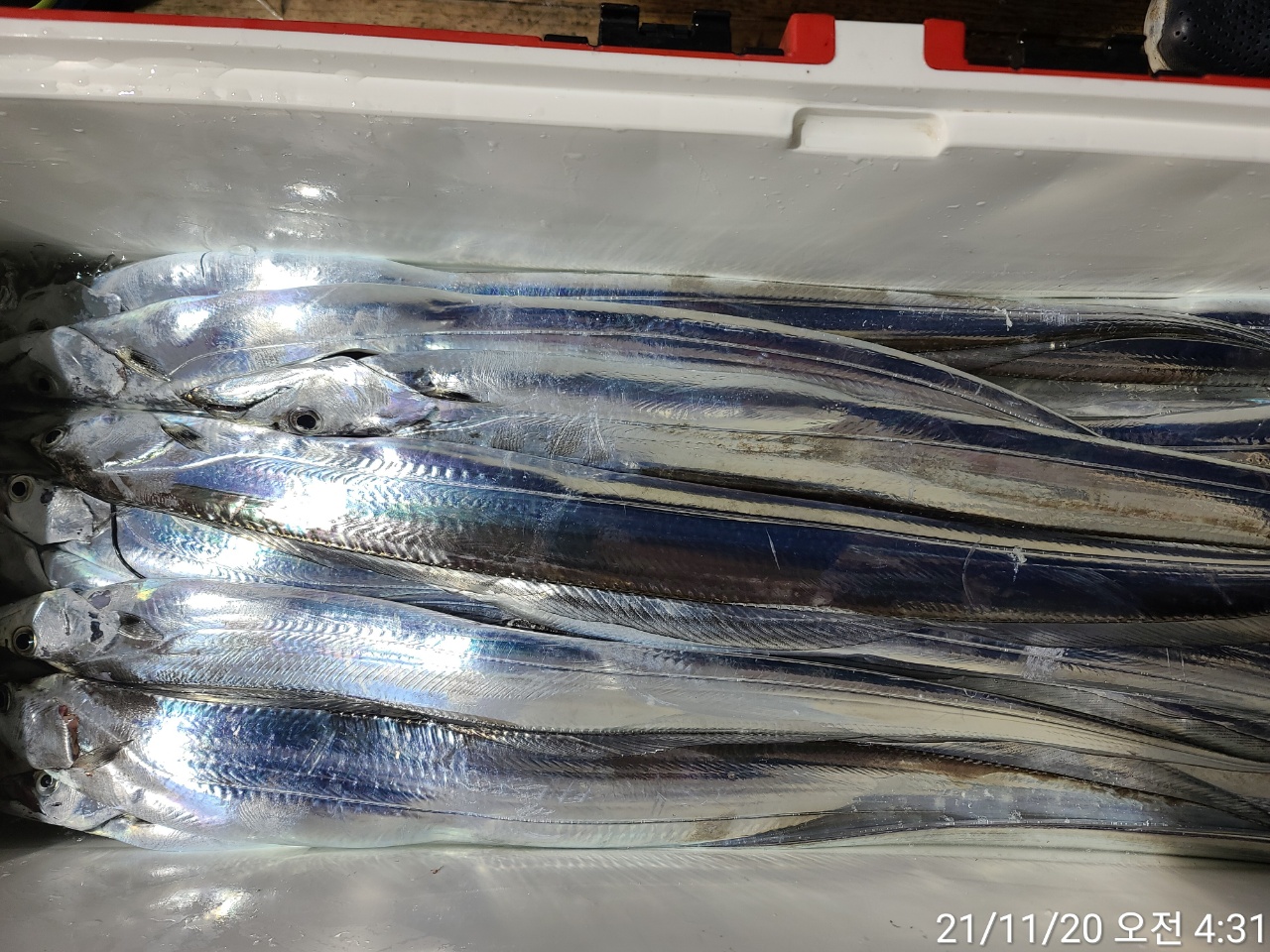 media&amp;token=c8f64563-d367-46a6-9aac-2a24e797b85c