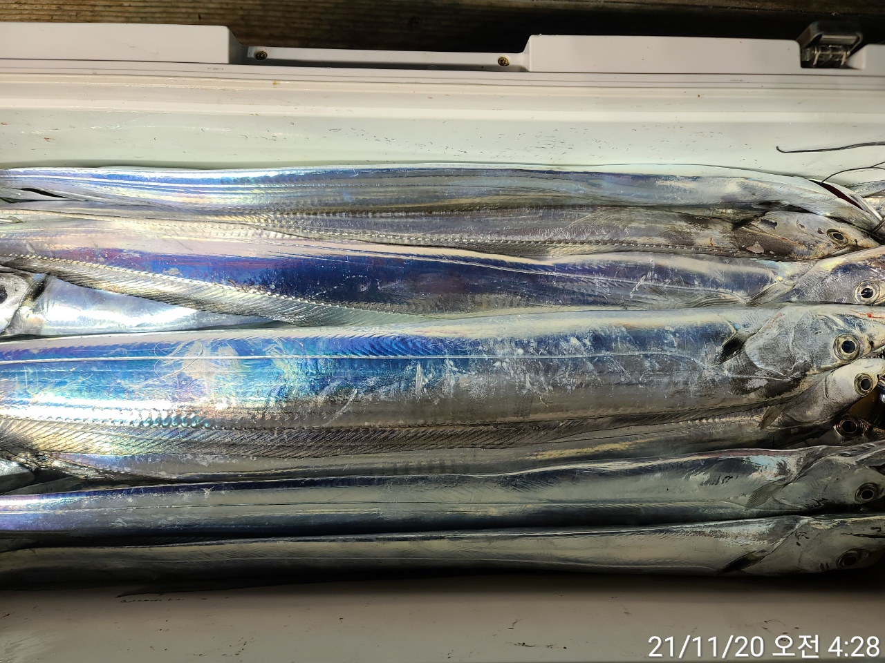 media&amp;token=e0dcfeec-044a-4ba8-a4dc-aa3bbd7b0c6e