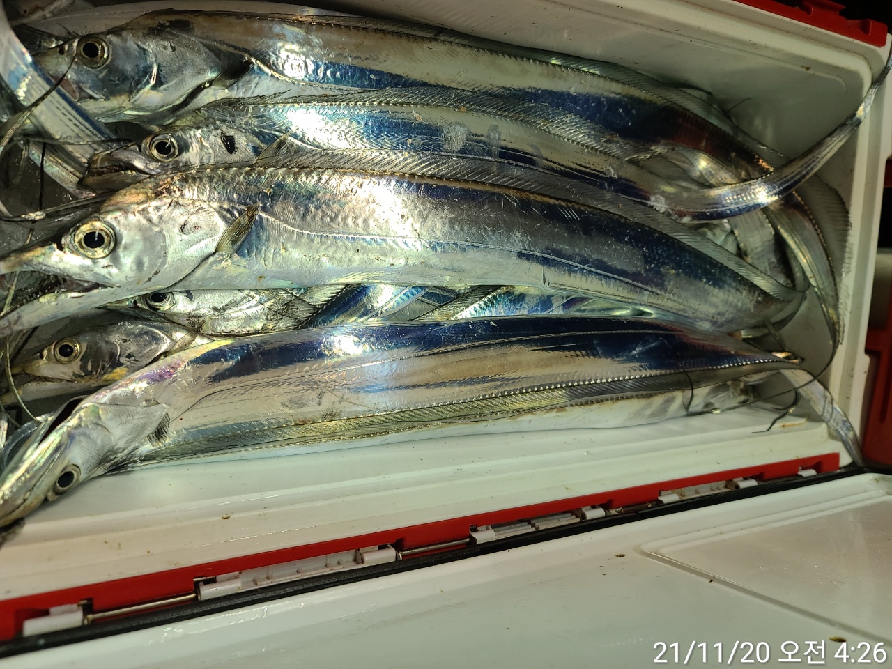 media&amp;token=fedee046-1b4f-4ab6-a570-602fb4493c83