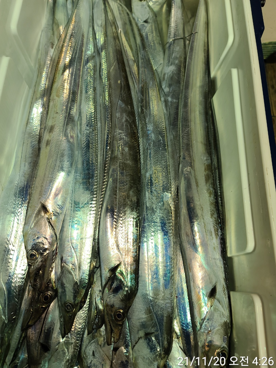 media&amp;token=bd121b31-45c4-458f-a495-bb7c8f9818ff