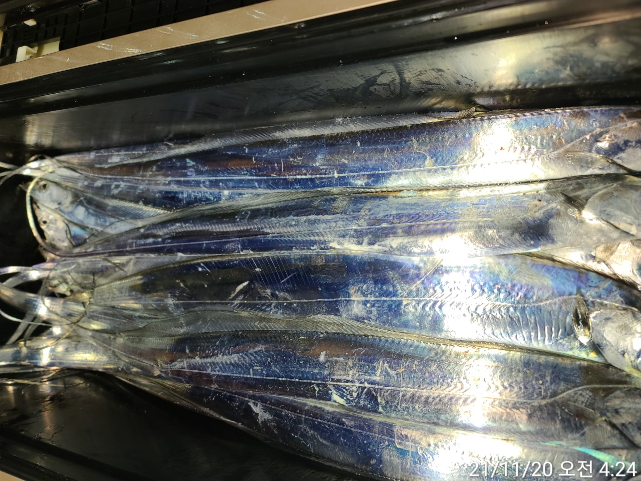 media&amp;token=3a6348ca-42b2-4ecb-b4e6-f0ac7c683d4d