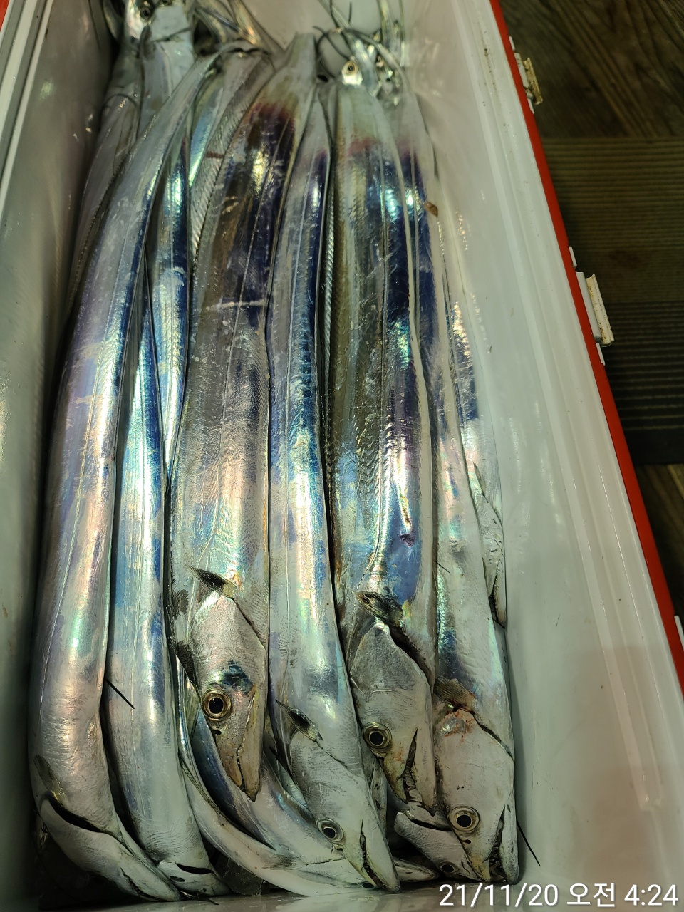 media&amp;token=7804e2a0-29a5-4df9-9de5-433e5e03ba74