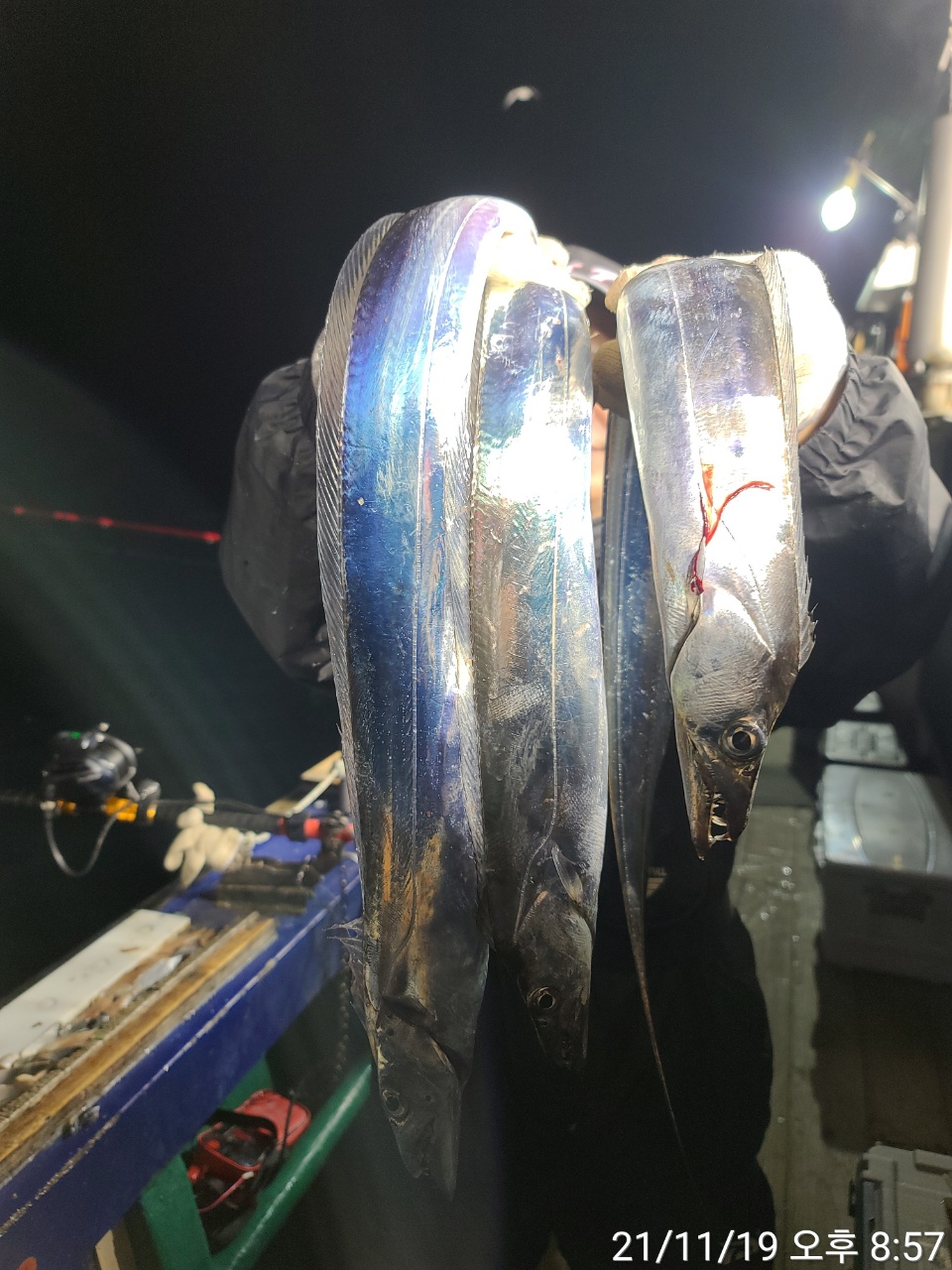 media&amp;token=4af23b2a-a839-4d43-baee-6641ee1ba5ea