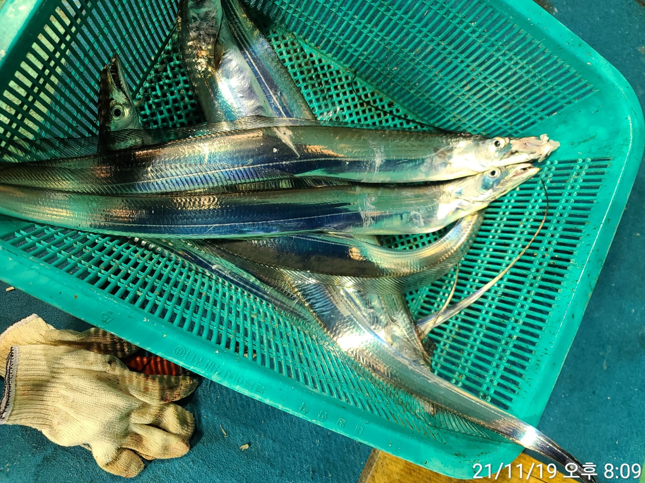 media&amp;token=d0a5312d-8a9f-404f-a787-15b3f84b3b98