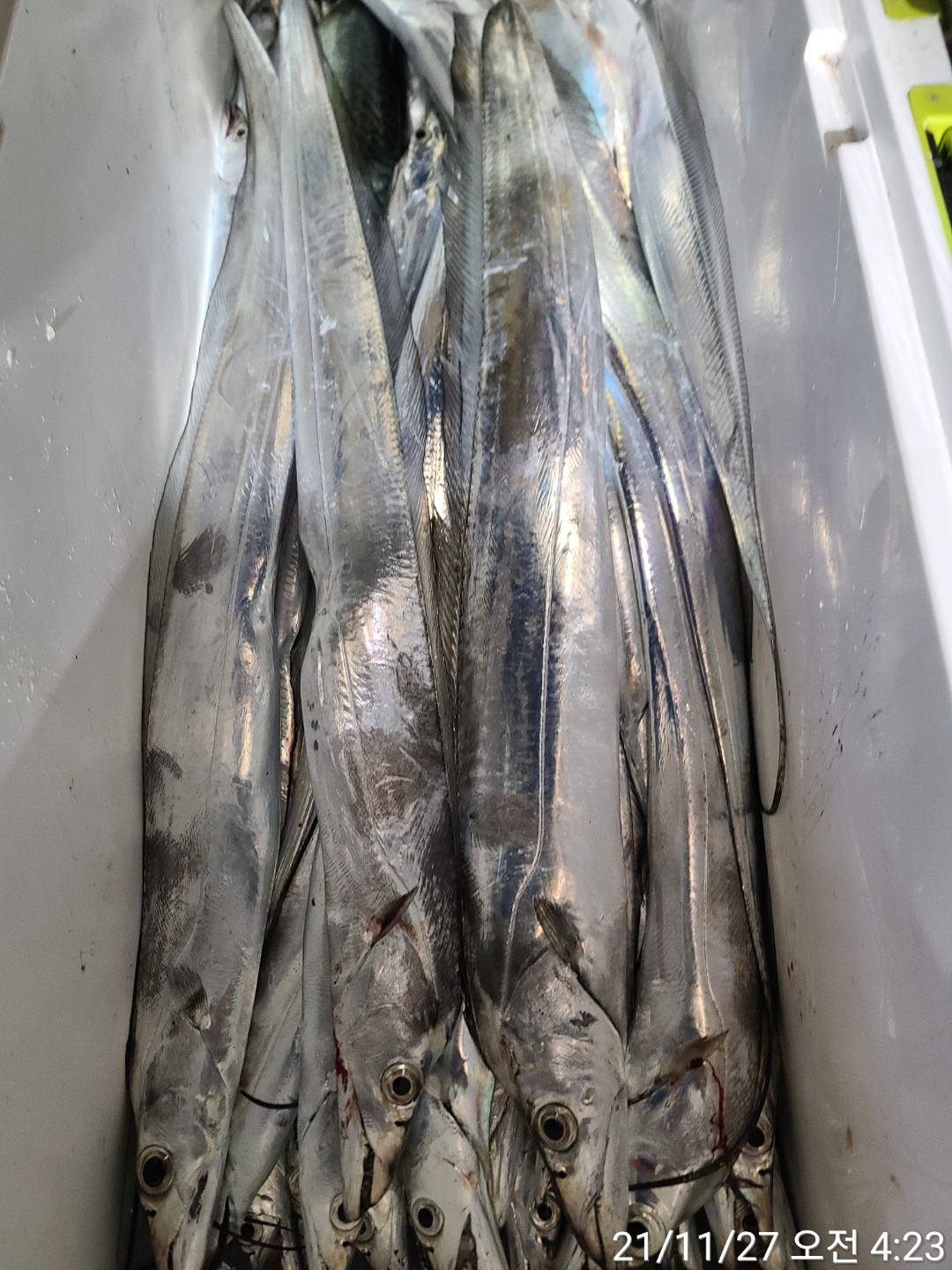 media&amp;token=79fa43c4-2b25-46d1-9282-09ed68df41b9