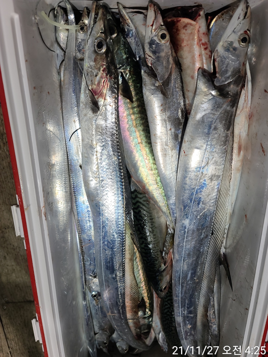 media&amp;token=0e478c9f-e04e-4414-933b-0eafe13dfadd