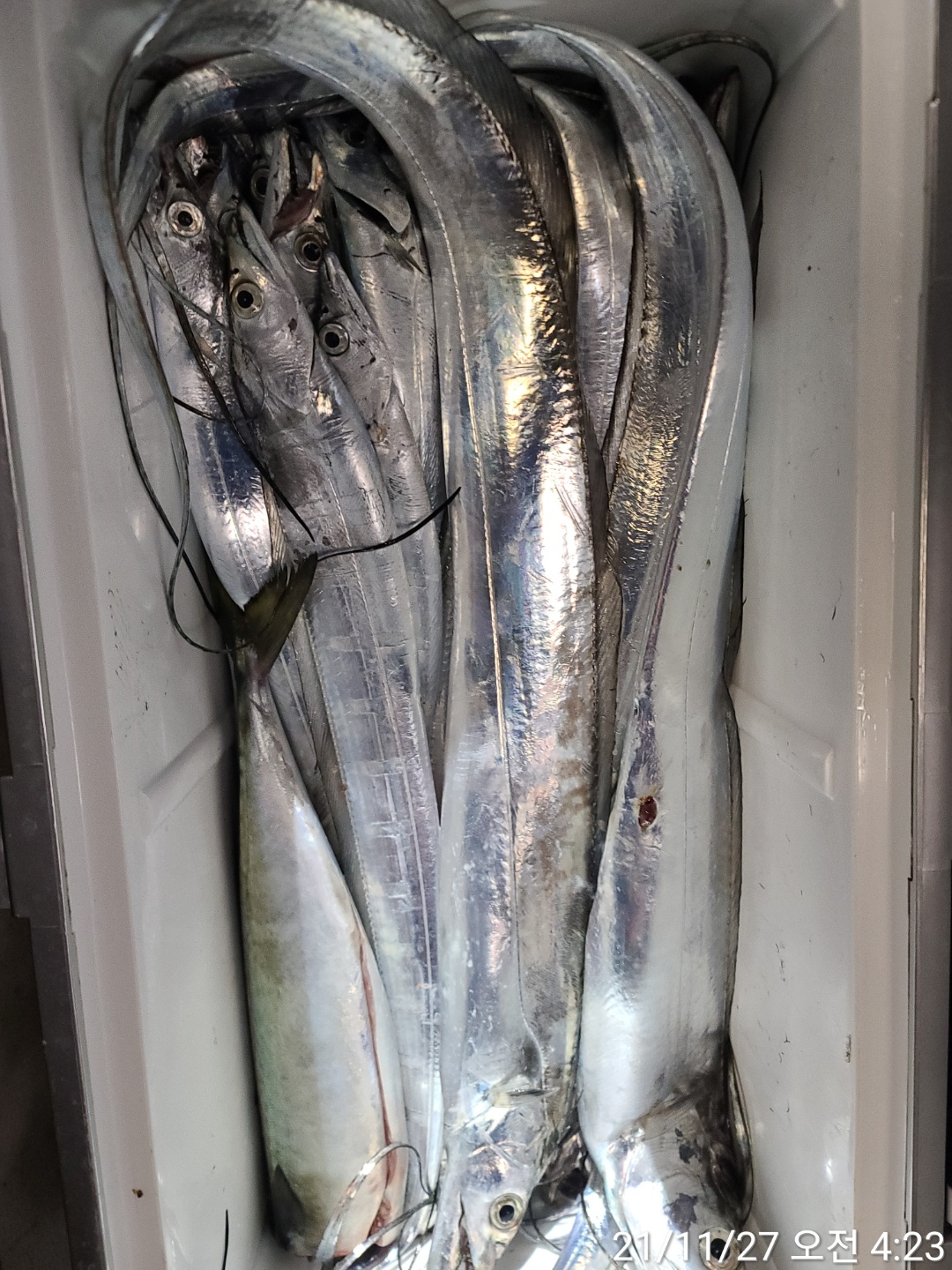 media&amp;token=9d1efee7-c910-4c4d-b07f-141c863b6e63