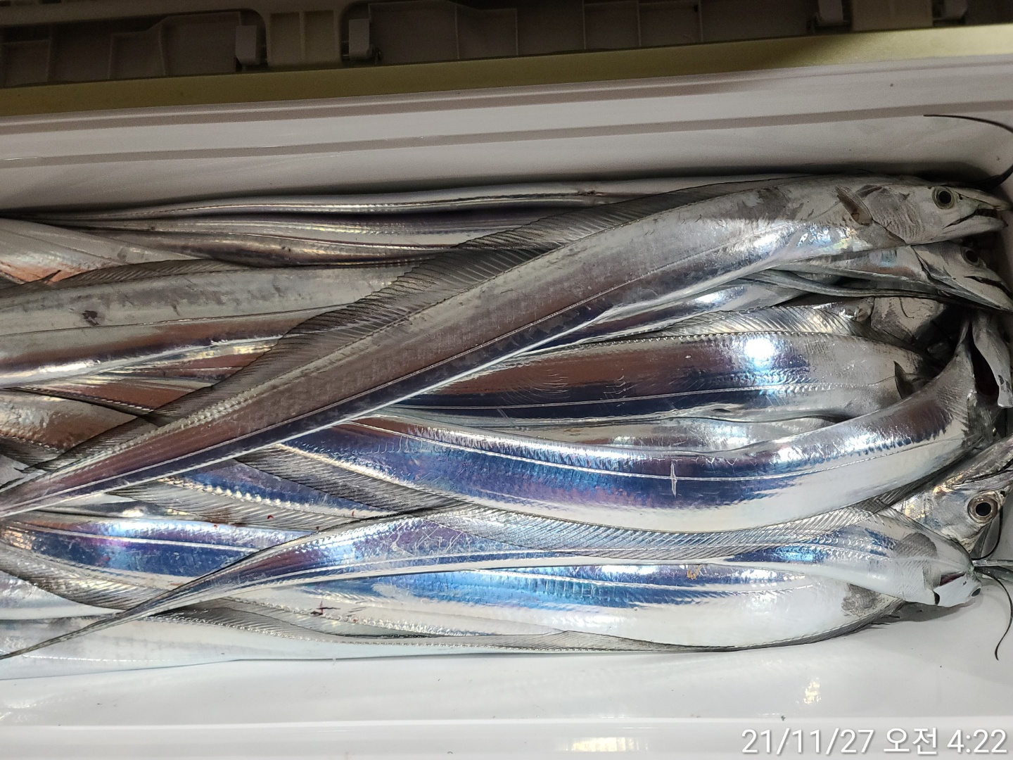 media&amp;token=da62ec6e-8c30-47a2-b24e-1b434bb31afe