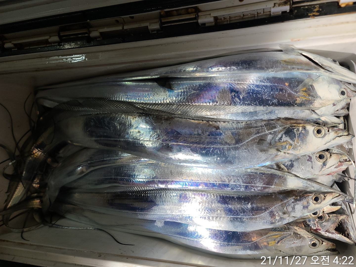 media&amp;token=ccd05baf-bc72-42f0-aa1a-6707f1e55fac