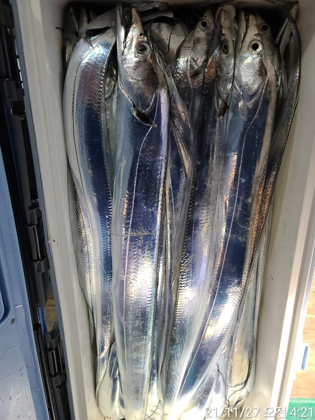 media&amp;token=07920da2-6f66-4068-b760-0fd699acacbc