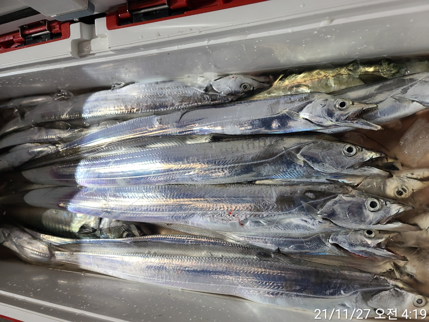 media&amp;token=2d5b4345-1bbb-46fb-9cf2-60509ef56484