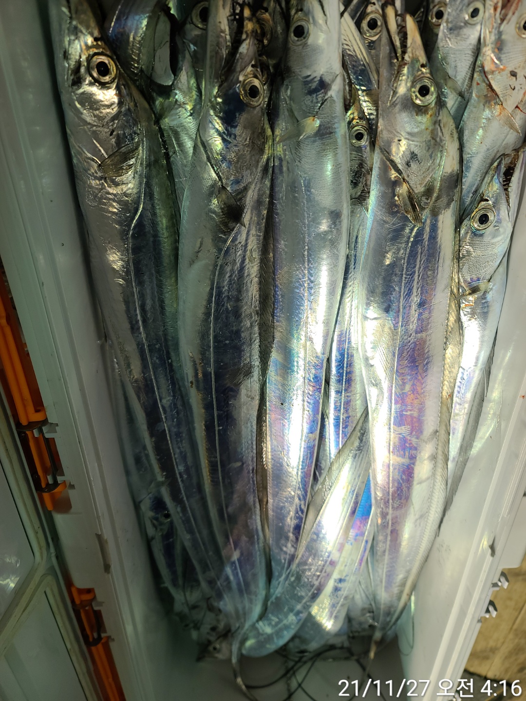 media&amp;token=ba49999b-23c2-4fb6-ab10-40bc0b2a429e