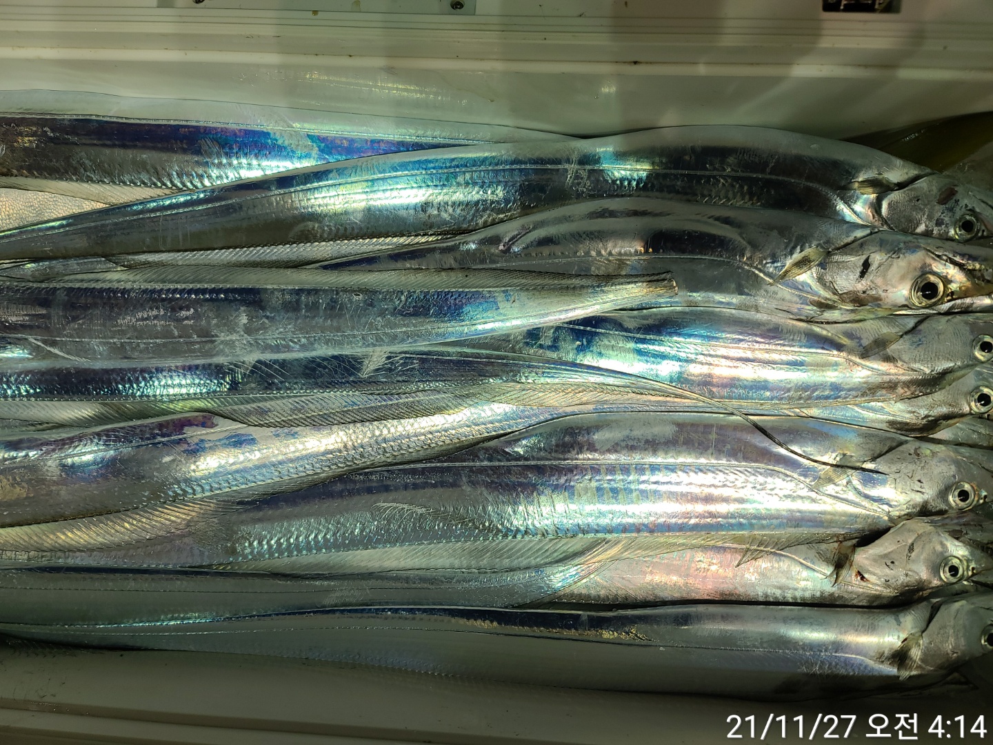 media&amp;token=d3fa7639-b225-4325-b441-9674f5d0f6c1