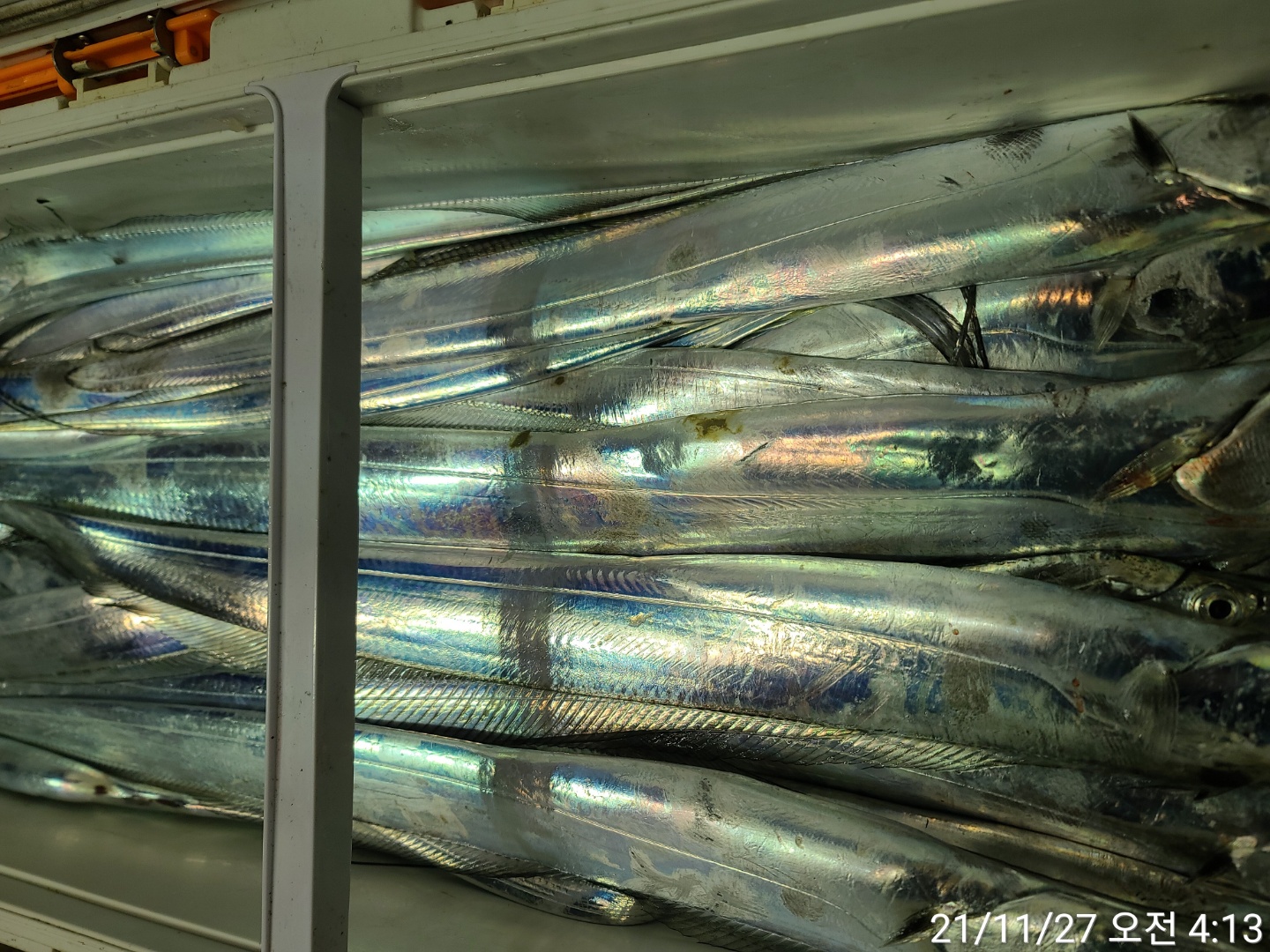 media&amp;token=a05be994-51c0-48e5-bcbe-5a9d29e5522a