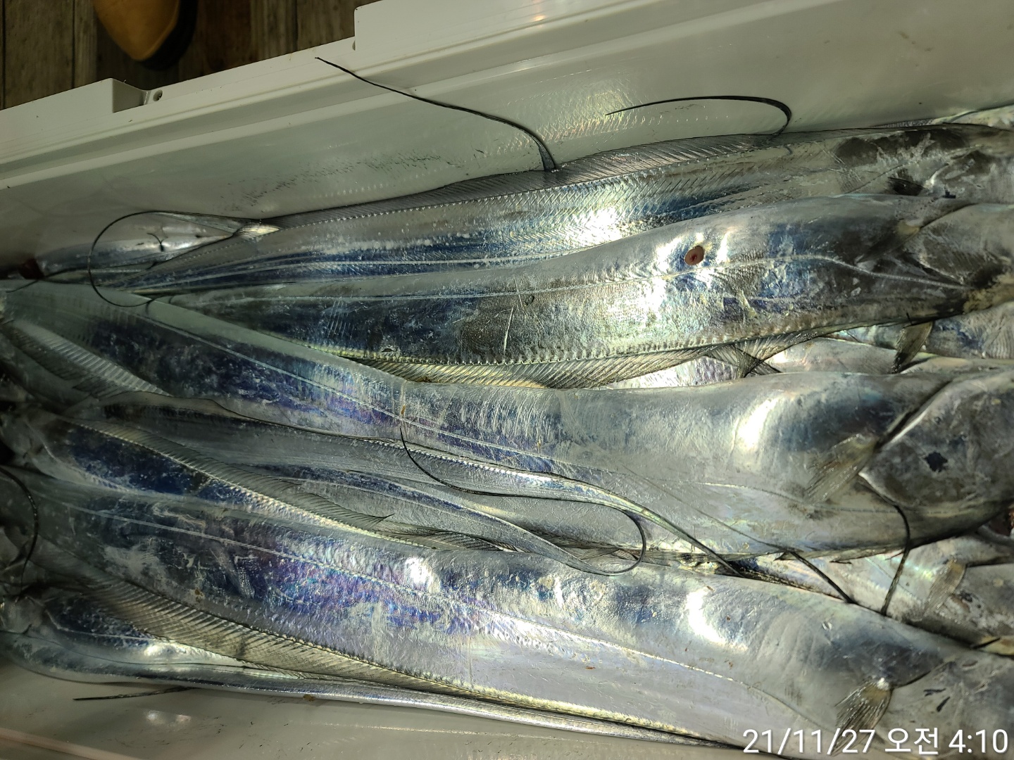 media&amp;token=d7765957-3749-4280-8026-011a41205305