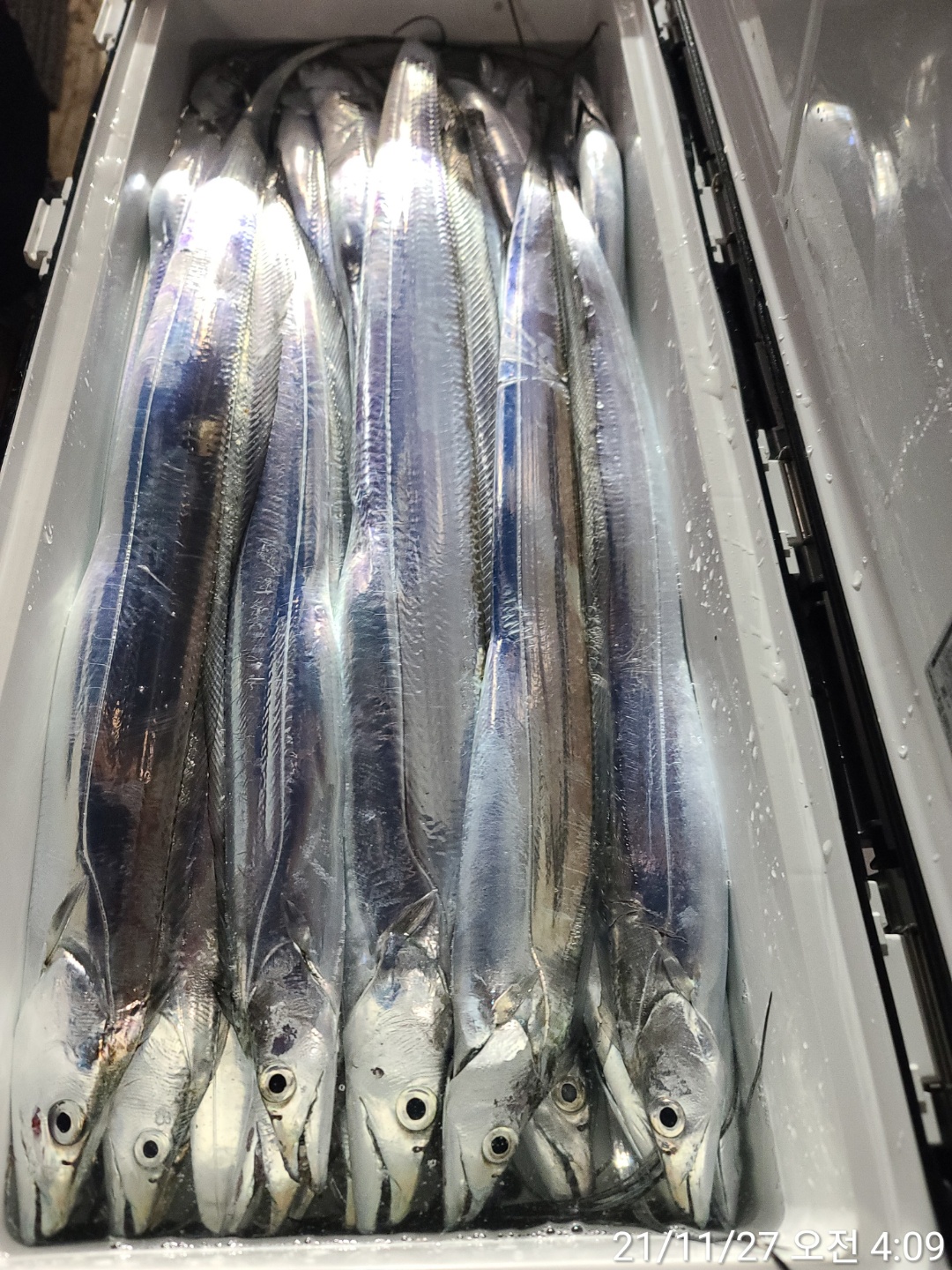 media&amp;token=ae5c3df3-4d0e-4da2-9b75-9f09fa2ecebc