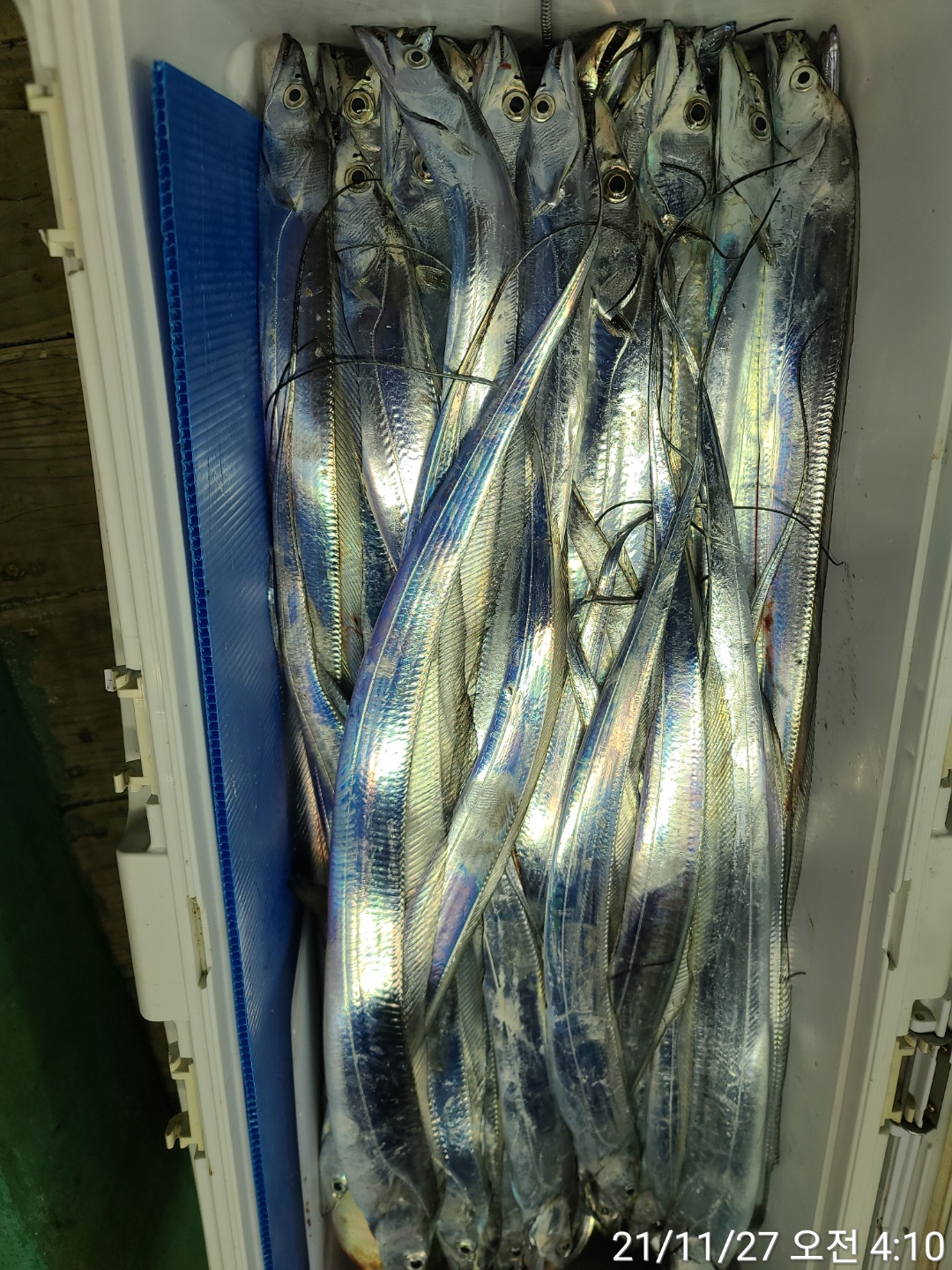 media&amp;token=15708ceb-fd44-4e74-ac07-259b46d727d2