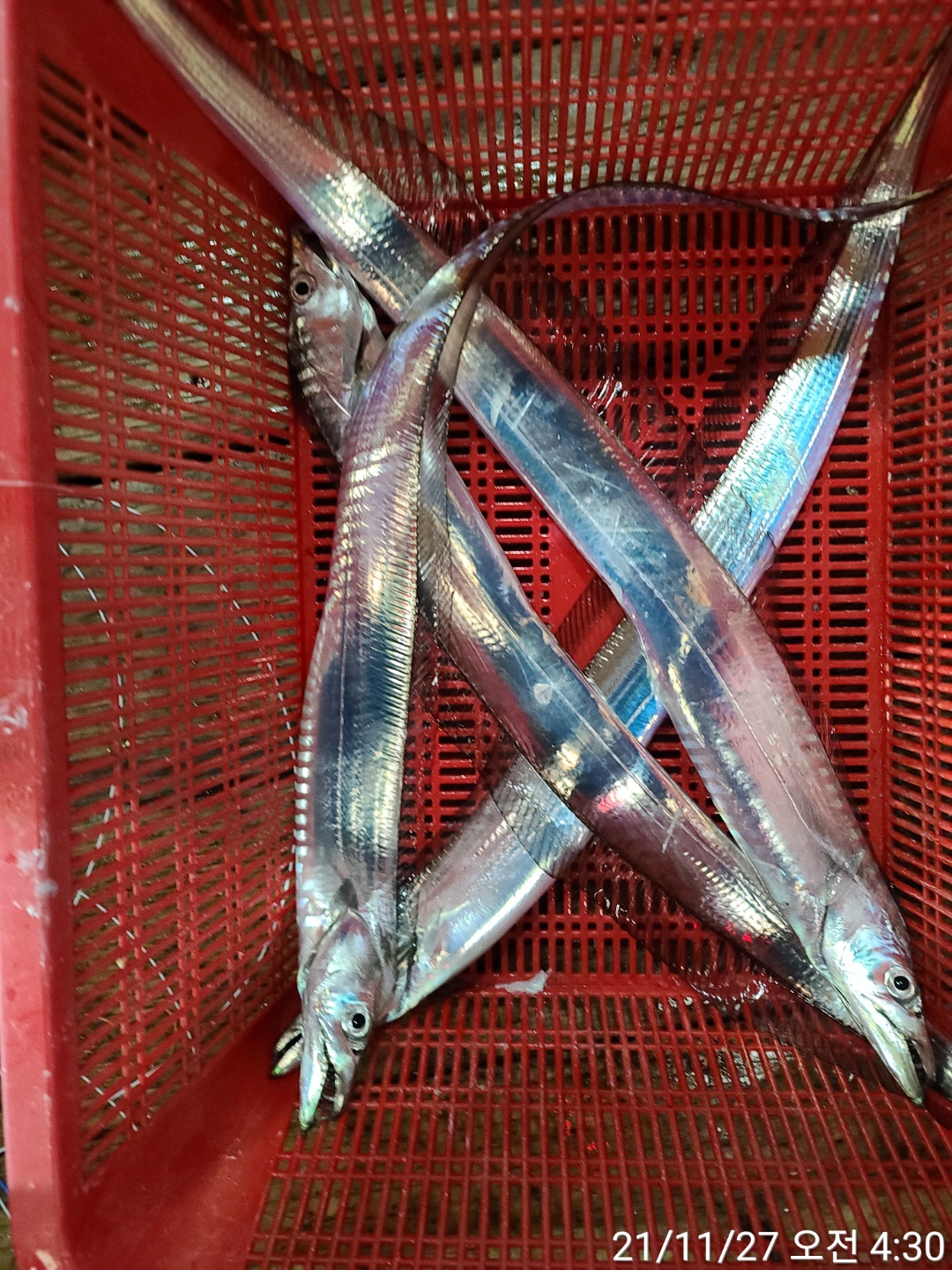 media&amp;token=e9d704d0-4eb2-4064-a543-5a3c3f4067aa