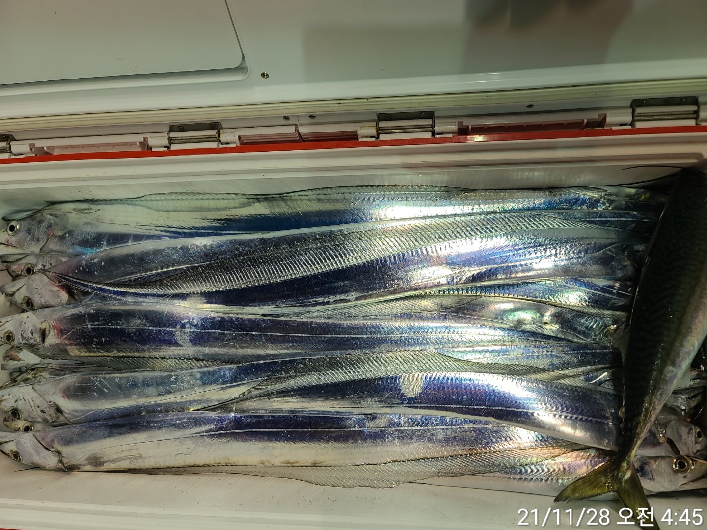 media&amp;token=21a27959-29a9-4833-a782-eb08eaa62111