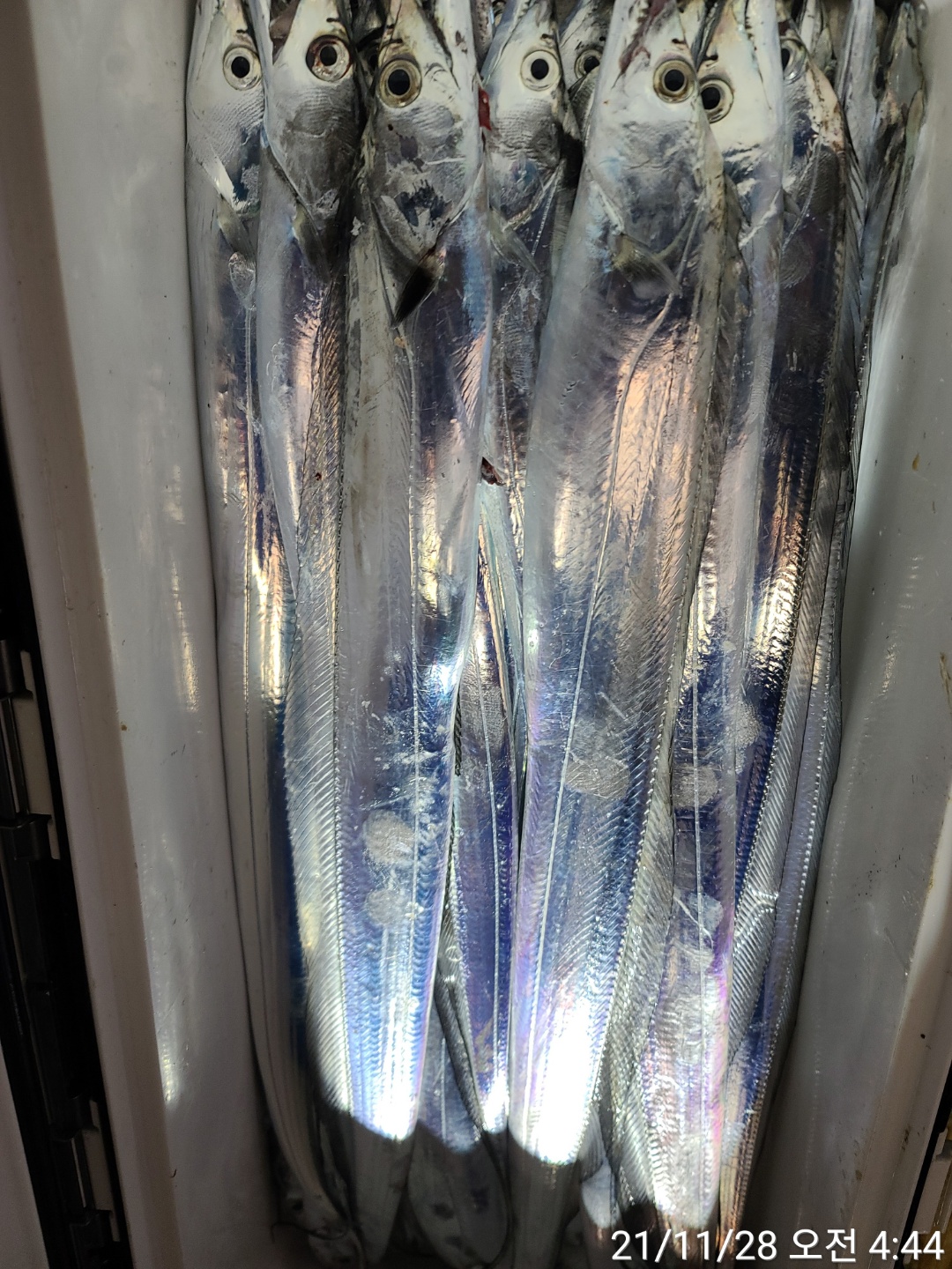 media&amp;token=c71ed2c5-7c62-48f8-ae3a-91e105df8b29