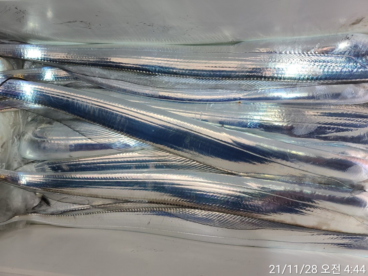 media&amp;token=f5e74ea7-5106-4bfb-b626-bcf5c8afdeee