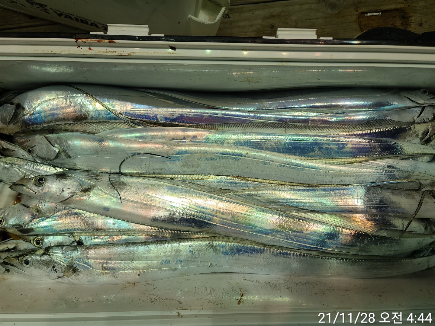 media&amp;token=423a66d1-daf5-4075-9331-a3df279f3cde