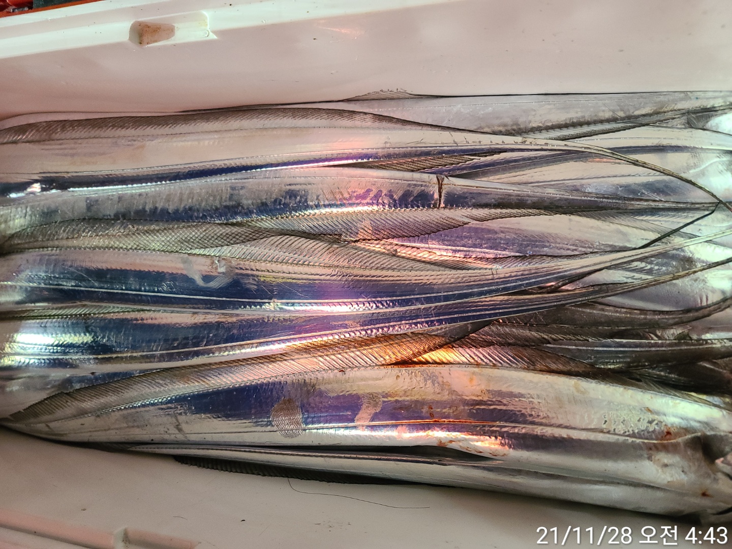 media&amp;token=d55547e1-c4e4-4b32-8d10-cda2865749de