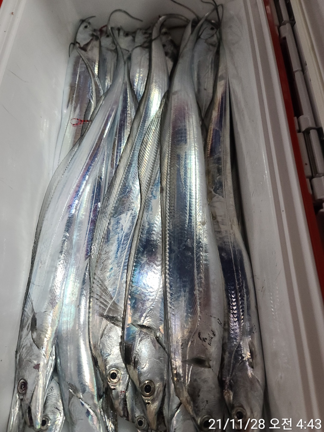 media&amp;token=79b3bea2-1584-47b9-8264-87fea05bc67f