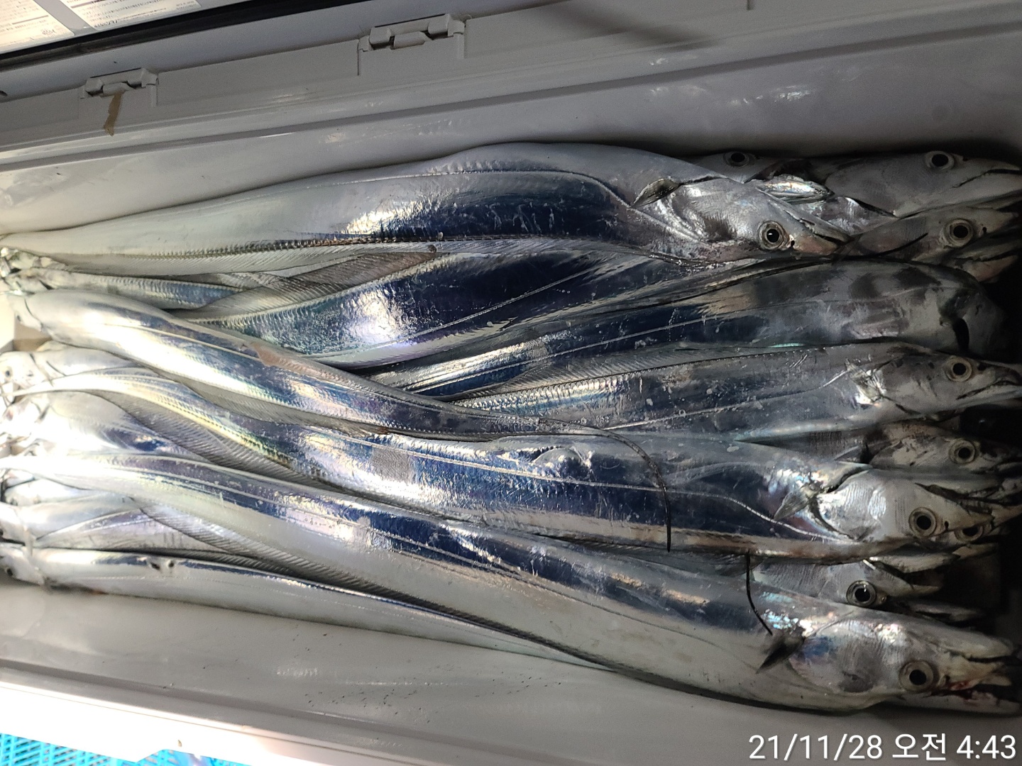 media&amp;token=394e6c57-0336-47e2-8ef5-5a15308d0d68