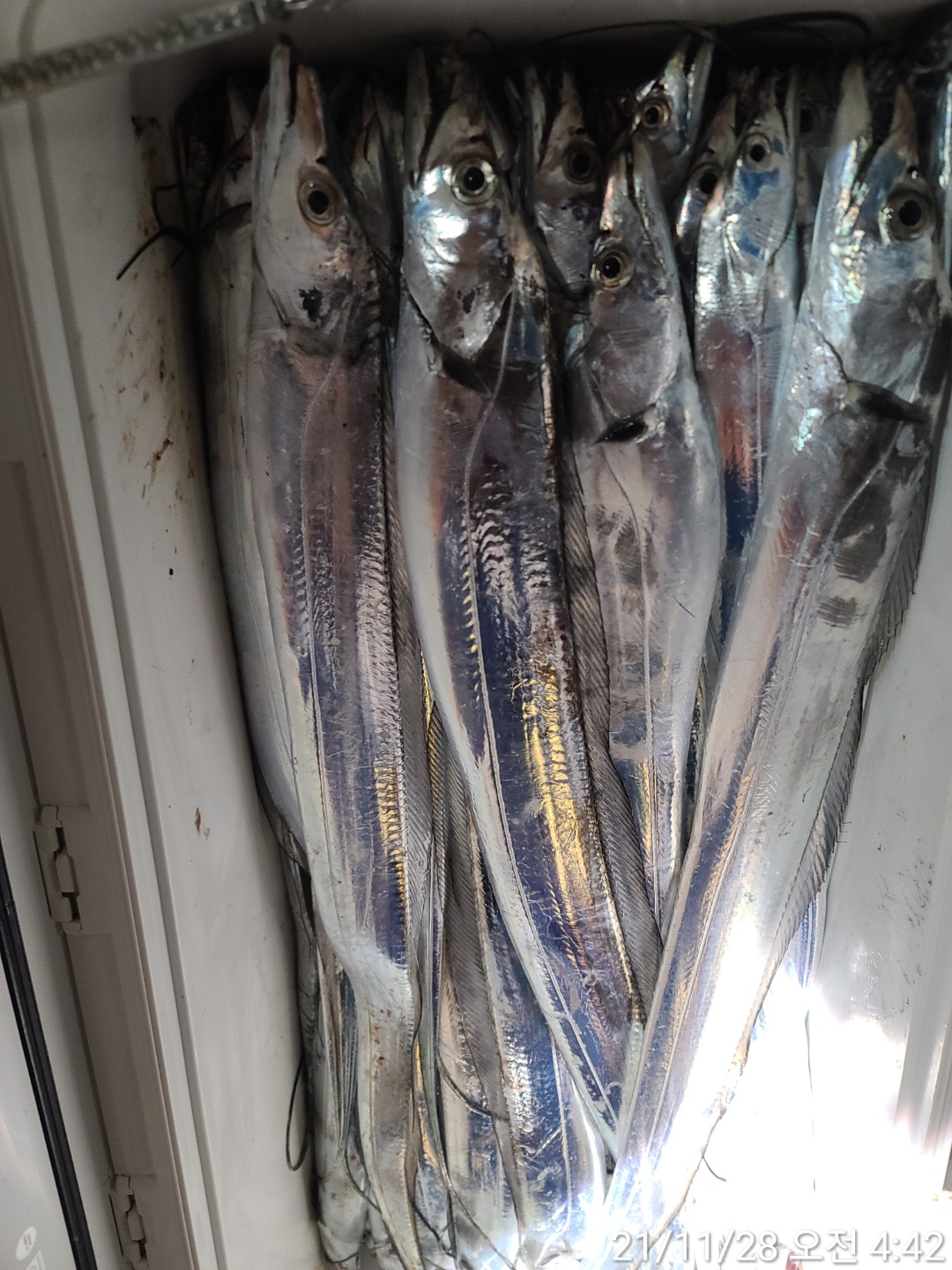 media&amp;token=490966e2-09f2-4a12-9c9f-f3f9f9383cb3